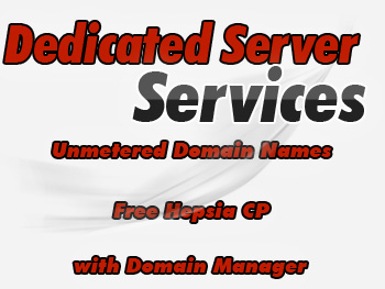 Cut-price dedicated server service